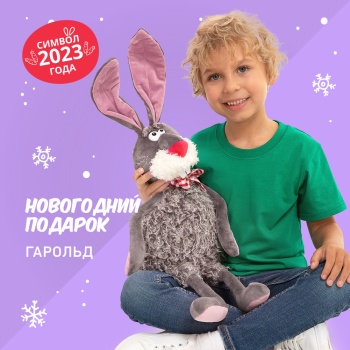 Сладкий новогодний подарок «Гарольд» Сладкий новогодний подарок «Гарольд»